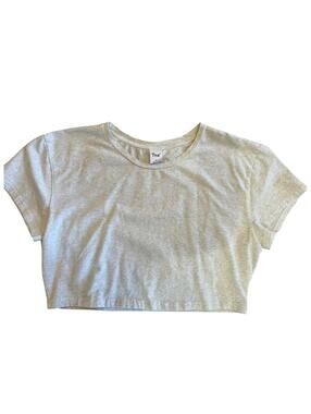 Aritzia Tna Heather Gray Cropped T-Shirt | 2XL